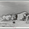 Houses of Mexican day laborers. Crystal City, Texas