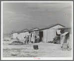 Houses of Mexican day laborers. Crystal City, Texas