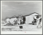 Houses of Mexican day laborers. Crystal City, Texas