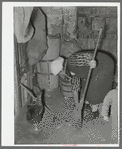 Mexican women sweeping dirt floor. Chickens are found in many of the Mexican houses. Crystal City, Texas