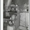 Corner of kitchen with cat drinking from wash pan. Mexican home, San Antonio, Texas