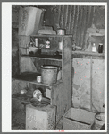 Corner of kitchen with cat drinking from wash pan. Mexican home, San Antonio, Texas