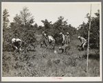 Tree planting. Black River Falls land use project, Wisconsin