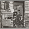 Art Simplot's sons in the kitchen and washroom of their home near Black River Falls, Wisconsin. Note the unplastered walls