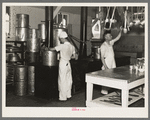 Kitchen in the resettlement camp on the Black River Falls land use project, Wisconsin