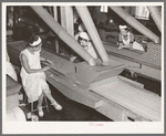 Girls checking quality of peas at canning factory, Sun Prairie, Wisconsin