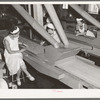 Girls checking quality of peas at canning factory, Sun Prairie, Wisconsin