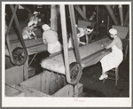 Girls removing foreign matter and inferior peas. Pea canning factory, Sun Prairie, Wisconsin