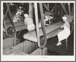 Girls removing foreign matter and inferior peas. Pea canning factory, Sun Prairie, Wisconsin