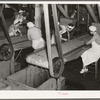 Girls removing foreign matter and inferior peas. Pea canning factory, Sun Prairie, Wisconsin