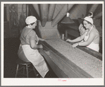 Removing inferior peas and foreign matter from peas to be canned. Canning factory, Sun Prairie, Wisconsin