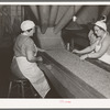 Removing inferior peas and foreign matter from peas to be canned. Canning factory, Sun Prairie, Wisconsin