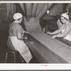Removing inferior peas and foreign matter from peas to be canned. Canning factory, Sun Prairie, Wisconsin