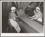 Removing inferior peas and foreign matter from peas to be canned. Canning factory, Sun Prairie, Wisconsin