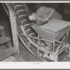 A hopper full of peas and conveyor at canning factory, Sun Prairie, Wisconsin
