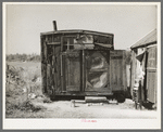 Tarpaper dwelling of man living in abandoned lumber camp, Gemmel, Minnesota