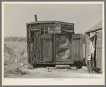 Tarpaper dwelling of man living in abandoned lumber camp, Gemmel, Minnesota