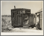 Tarpaper dwelling of man living in abandoned lumber camp, Gemmel, Minnesota