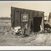 Tarpaper dwelling occupied by person living in abandoned lumber camp, Gemmel, Minnesota