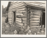Detail of old log cabin near Gheen, Minnesota