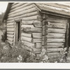 Detail of old log cabin near Gheen, Minnesota