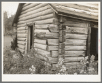 Detail of old log cabin near Gheen, Minnesota