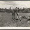 Cut-over farmer putting dirt roof on root cellar near Gheen, Minnesota