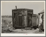 Tar paper dwelling occupied by family living in abandoned lumber cap, Gemmel, Minnesota