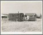 Abadoned lumber camp, Gemmel, Minnesota