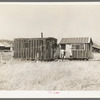 Abadoned lumber camp, Gemmel, Minnesota