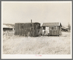 Abadoned lumber camp, Gemmel, Minnesota