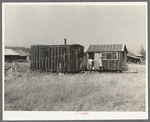 Abadoned lumber camp, Gemmel, Minnesota