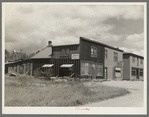 Store buildings, Gheen, Minnesota