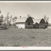 Barns on farm in cut-over areas near Ericsburg, Minnesota