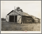 Buildings in old lumber camp, Gemmel, Minnesota