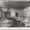 Interior of old closed store. Babbit, Minnesota, iron ore "bust" town