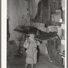 Mexican child eating tortilla in corner of kitchen. San Antonio, Texas