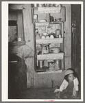 Kitchen cupboard. Mexican house, San Antonio, Texas