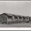 Row of houses. Mexican section of San Antonio, Texas