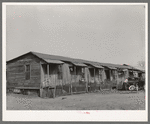 Row of houses. Mexican section of San Antonio, Texas