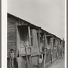 Row of houses. Mexican section of San Antonio, Texas