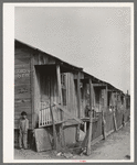 Row of houses. Mexican section of San Antonio, Texas