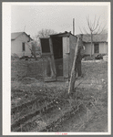 Gardens planted close to privies. Mexican section, San Antonio, Texas. Possible source of typhoid