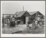 House and yard of Mexican family. San Antonio, Texas