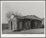 Mexican living quarters. Crystal City, Texas