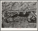 Detail of disk plow breaking virgin sod. El Indio, Texas