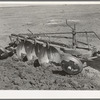 Disk plow drawn by tractor breaking virgin sod. El Indio, Texas