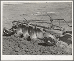 Disk plow drawn by tractor breaking virgin sod. El Indio, Texas