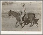 Cowboy on horseback near Eagle Pass, Texas