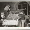 Truckload of carrots and onions, early morning market. San Antonio, Texas